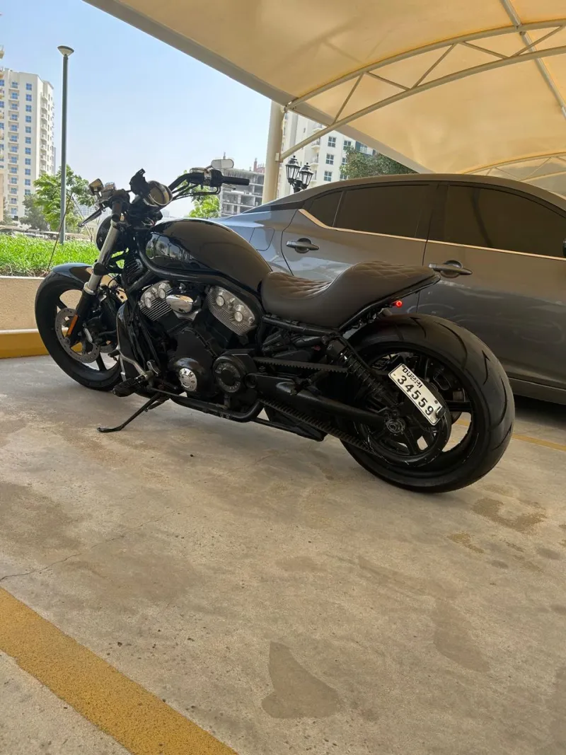Harley-Davidson Street 750 1